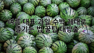 🍉 여름 대표 과일! 수박 제대로 즐기는 법 꿀팁 대방출 💯